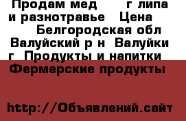 Продам мед 2018 г липа и разнотравье › Цена ­ 1 100 - Белгородская обл., Валуйский р-н, Валуйки г. Продукты и напитки » Фермерские продукты   